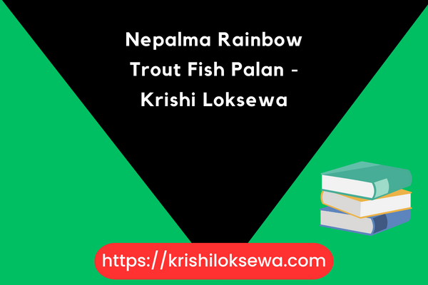 Nepalma Rainbow Trout Fish Palan - Krishi Loksewa