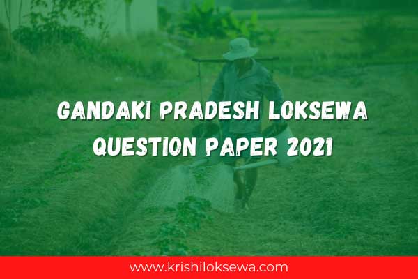 Gandaki Pradesh Loksewa Question Paper 2022